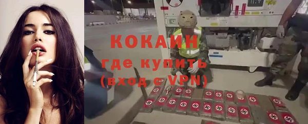 гашик Алзамай