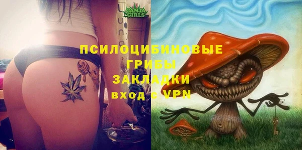 гашик Алзамай