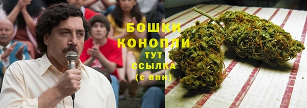 прущие крисы Гусь-Хрустальный